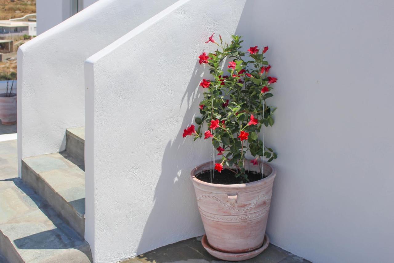 Crystal View Mykonos Lejlighedshotel Mykonos Town Eksteriør billede